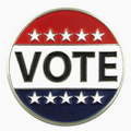 VOTE Lapel Pin